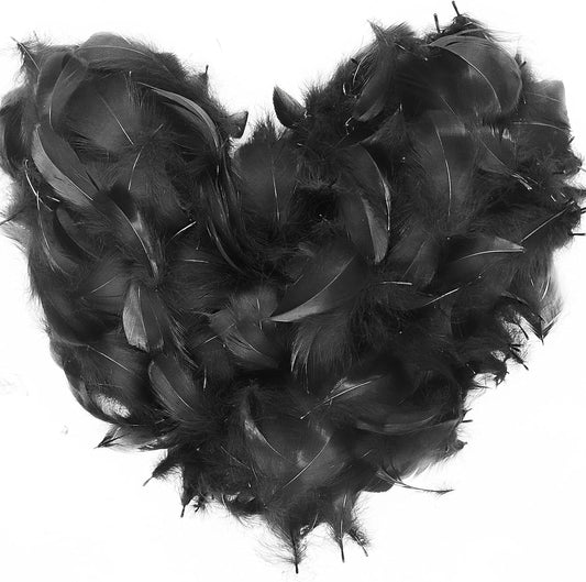 700 black craft feathers set for DIY art and decoration