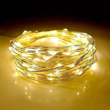 Battery LED fairy lights 5 meter string glowing warm light