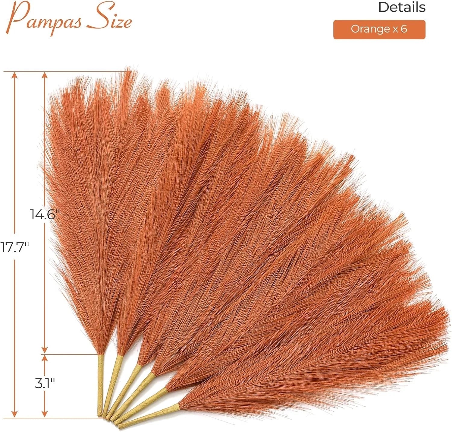 Boho pampas grass vase decor for modern interior styling