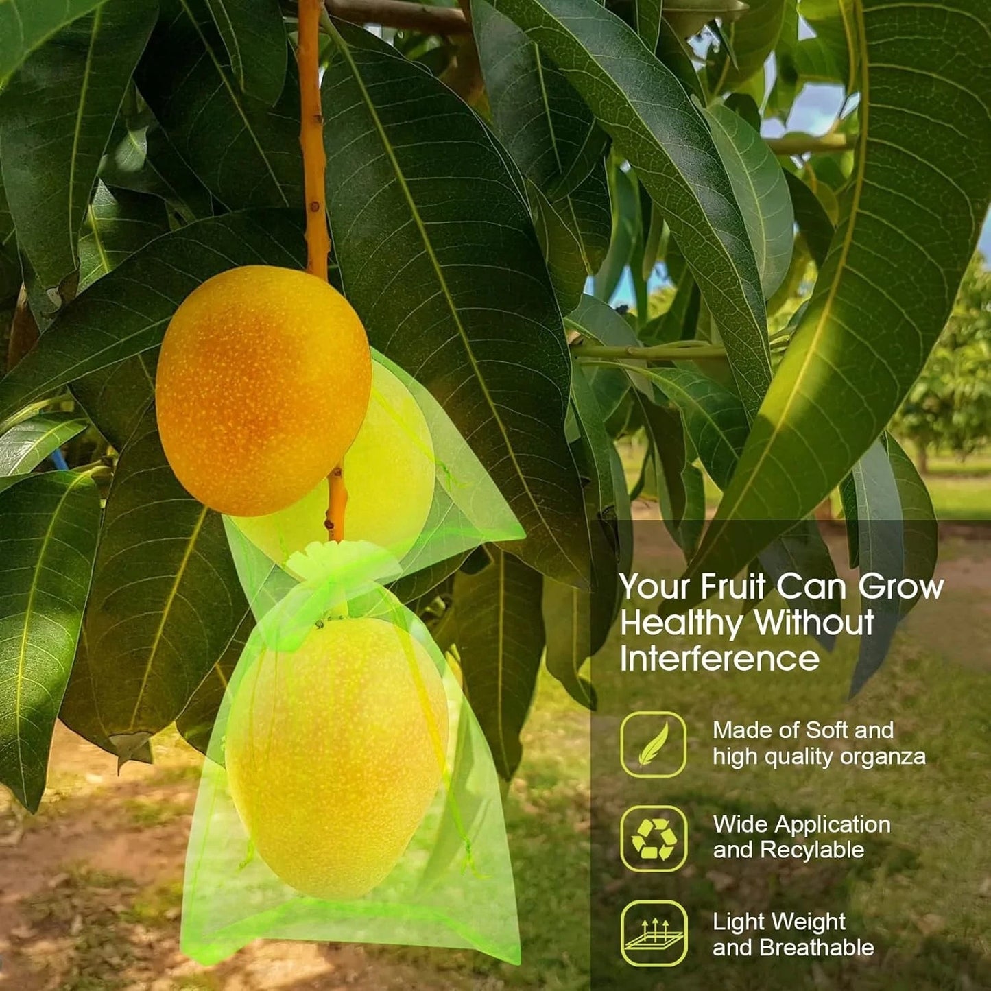 Breathable garden net fruit cover allowing airflow and light