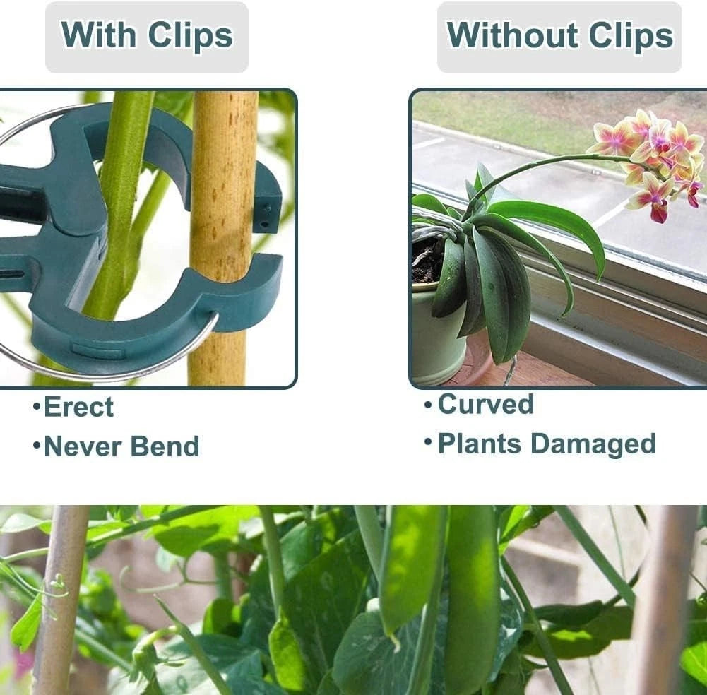Climbing plant holder clips used for garden vine support