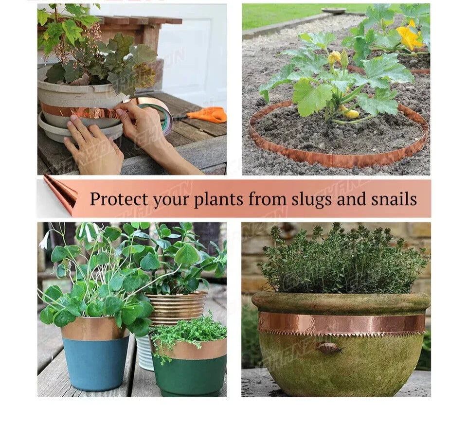 Detailed view of copper foil tape used as snail repellent