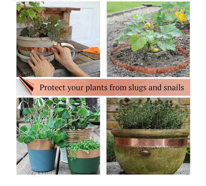 Detailed view of copper foil tape used as snail repellent