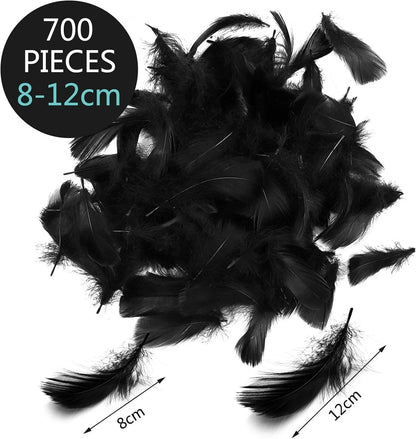DIY costume feather art project for creative design work