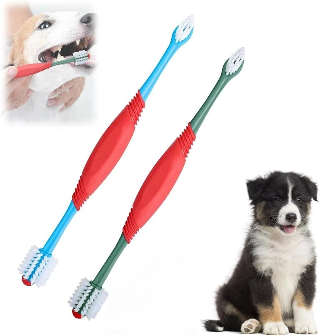 Stainless steel dog dental care tool for cleaning teeth