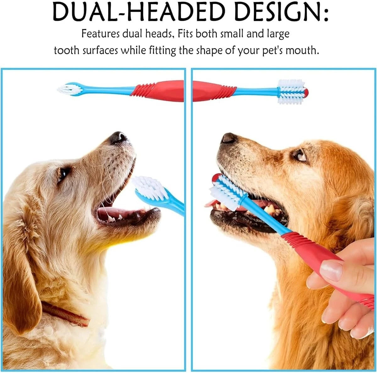 Stainless steel dog oral care tool for dental hygiene maintenance