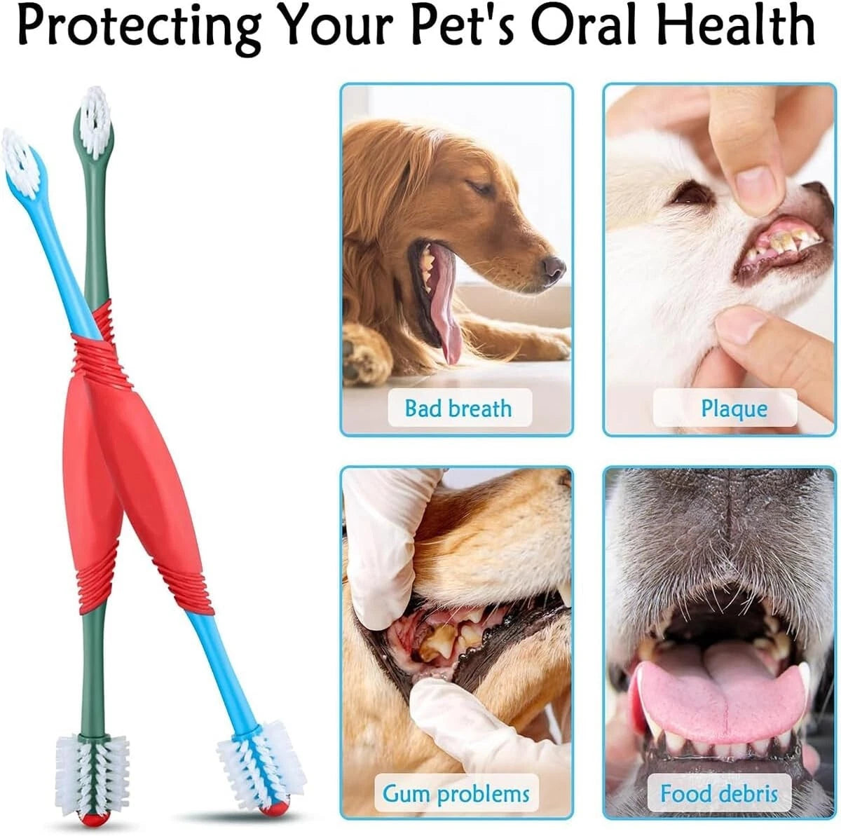 Dog tartar remover tool used for vet style dental cleaning at home