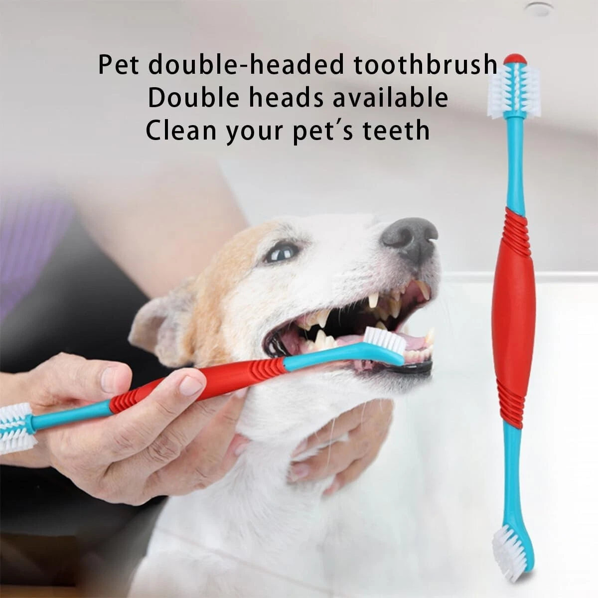 Dog teeth cleaning tool used for home grooming care