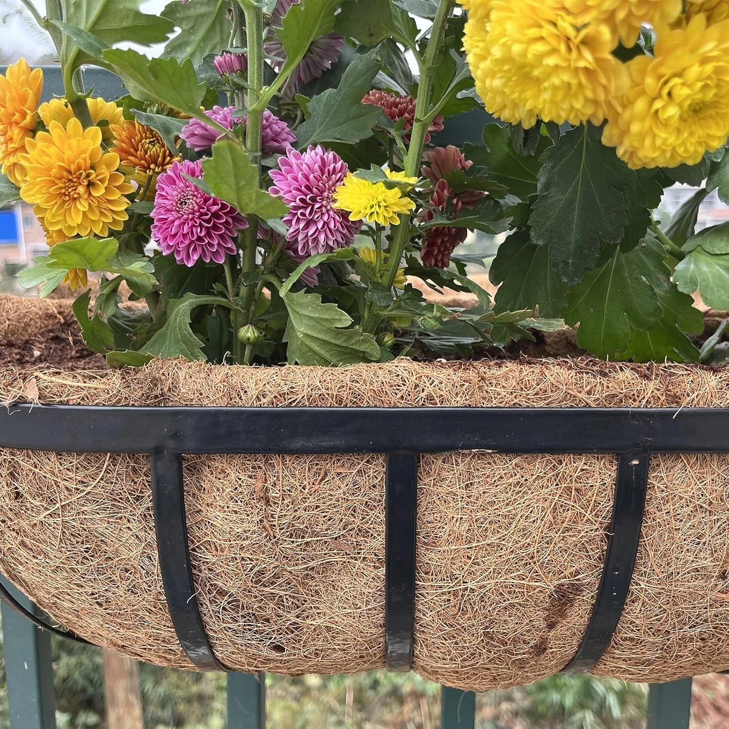 Eco friendly coir basket liner used in garden planting