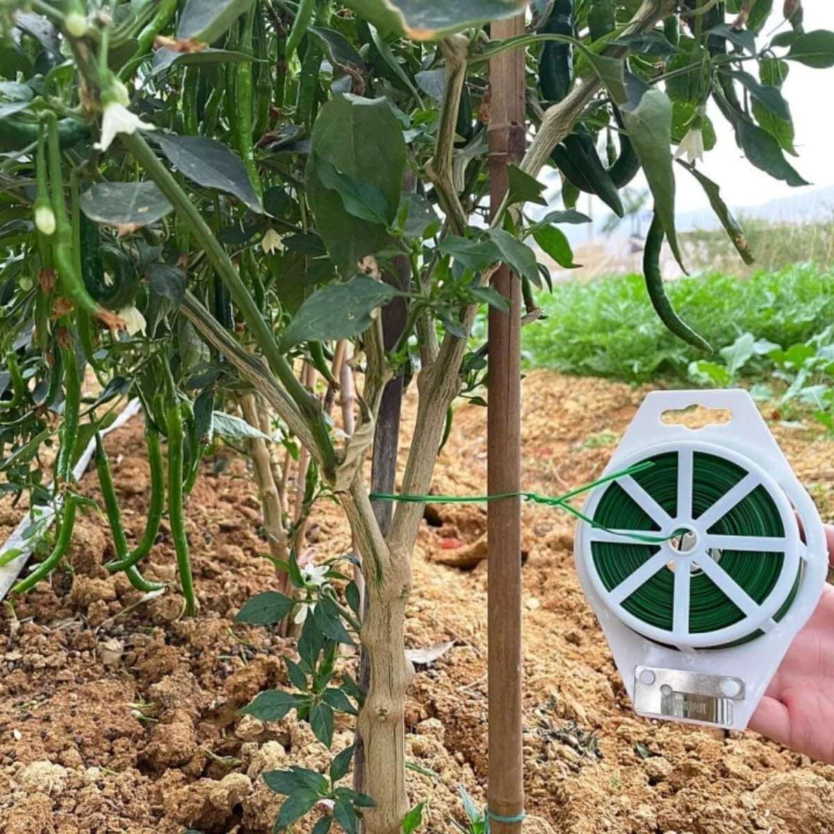 Garden vine support twist wire used for climbing plants