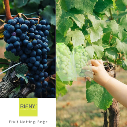 Grapes grow bag covered with garden netting protection