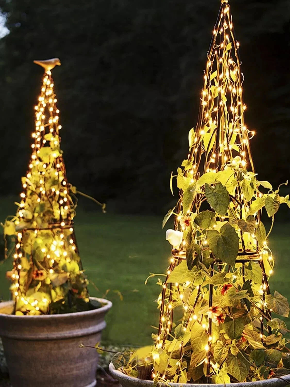 Close-up of LED wire lights showing soft glowing bulbs