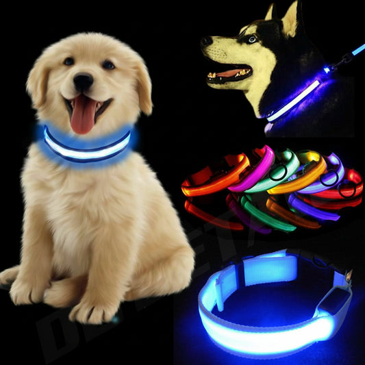 LED dog collar available in multiple bright color options
