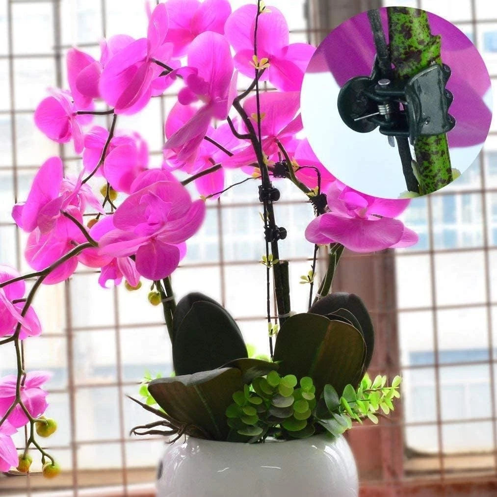 Orchid seedling support clamps close-up showing secure grip