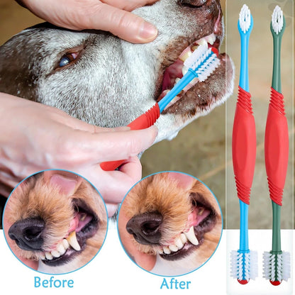 Pet teeth scraper dental cleaner tool used for home grooming care
