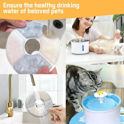 Carbon filter removing odors from pet drinking water
