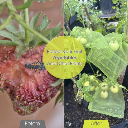 Bird proof netting bag used to protect plants and fruits