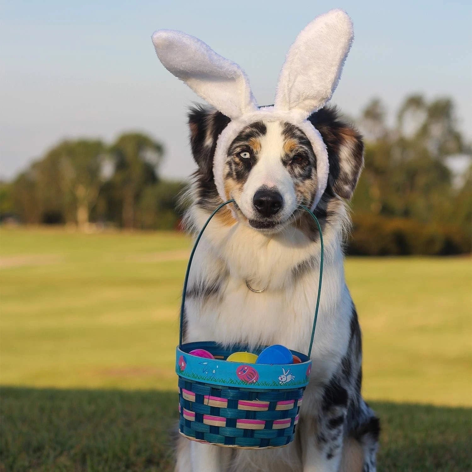 Plush rabbit headband used for festival and fancy dress events