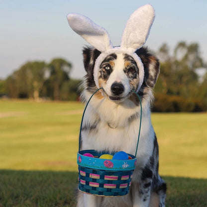 Plush rabbit headband used for festival and fancy dress events