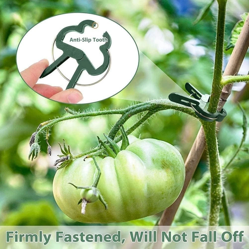 Reusable plant ties supporting vines and delicate stems