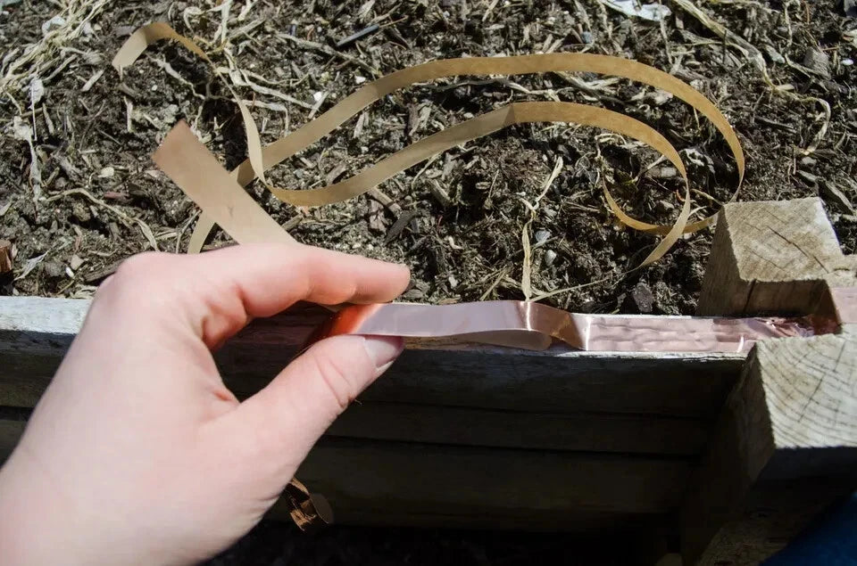 Slug barrier copper tape applied on raised garden bed edge