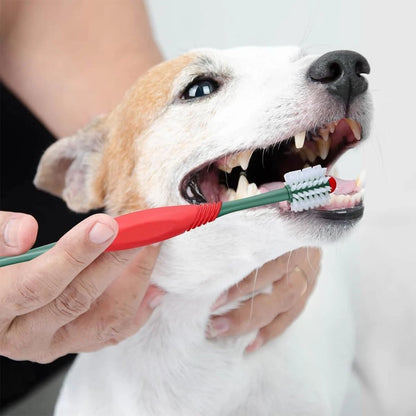 Tartar remover pet dental scraper tool for dogs