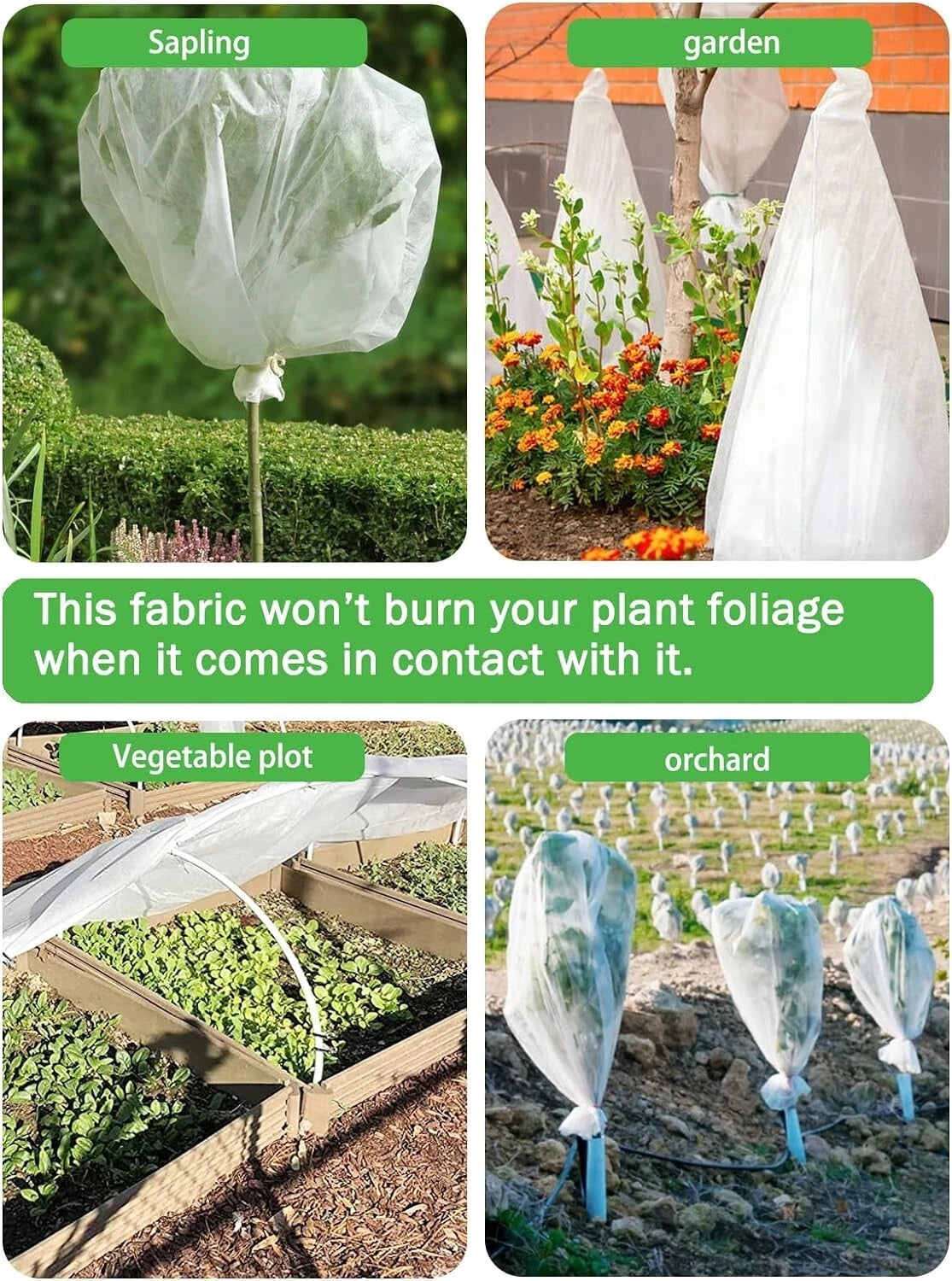 Winter plant cover fleece protecting plants from frost and weather